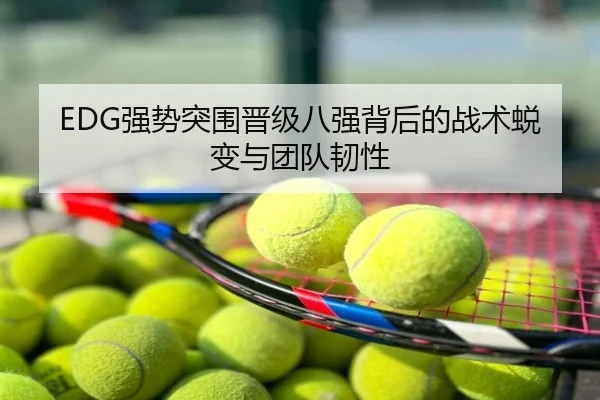 EDG强势突围晋级八强背后的战术蜕变与团队韧性