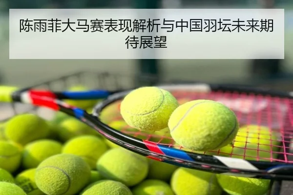 陈雨菲大马赛表现解析与中国羽坛未来期待展望