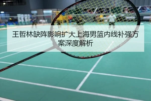 王哲林缺阵影响扩大上海男篮内线补强方案深度解析